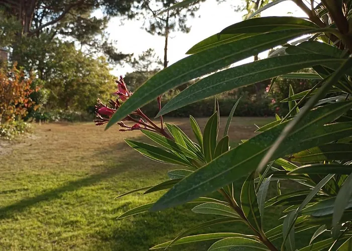 Quinta Do Lago Villa And Golf
